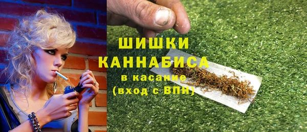 ПСИЛОЦИБИНОВЫЕ ГРИБЫ Гусиноозёрск