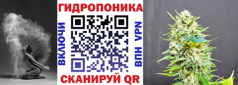 Купить где  Каменск-Шахтинский  Конопля семена 